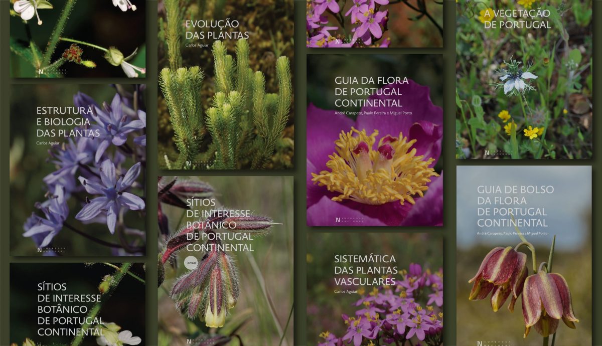 «Coleção Botânica em Português» disponível gratuitamente, a partir de hoje, no site da Imprensa Nacional