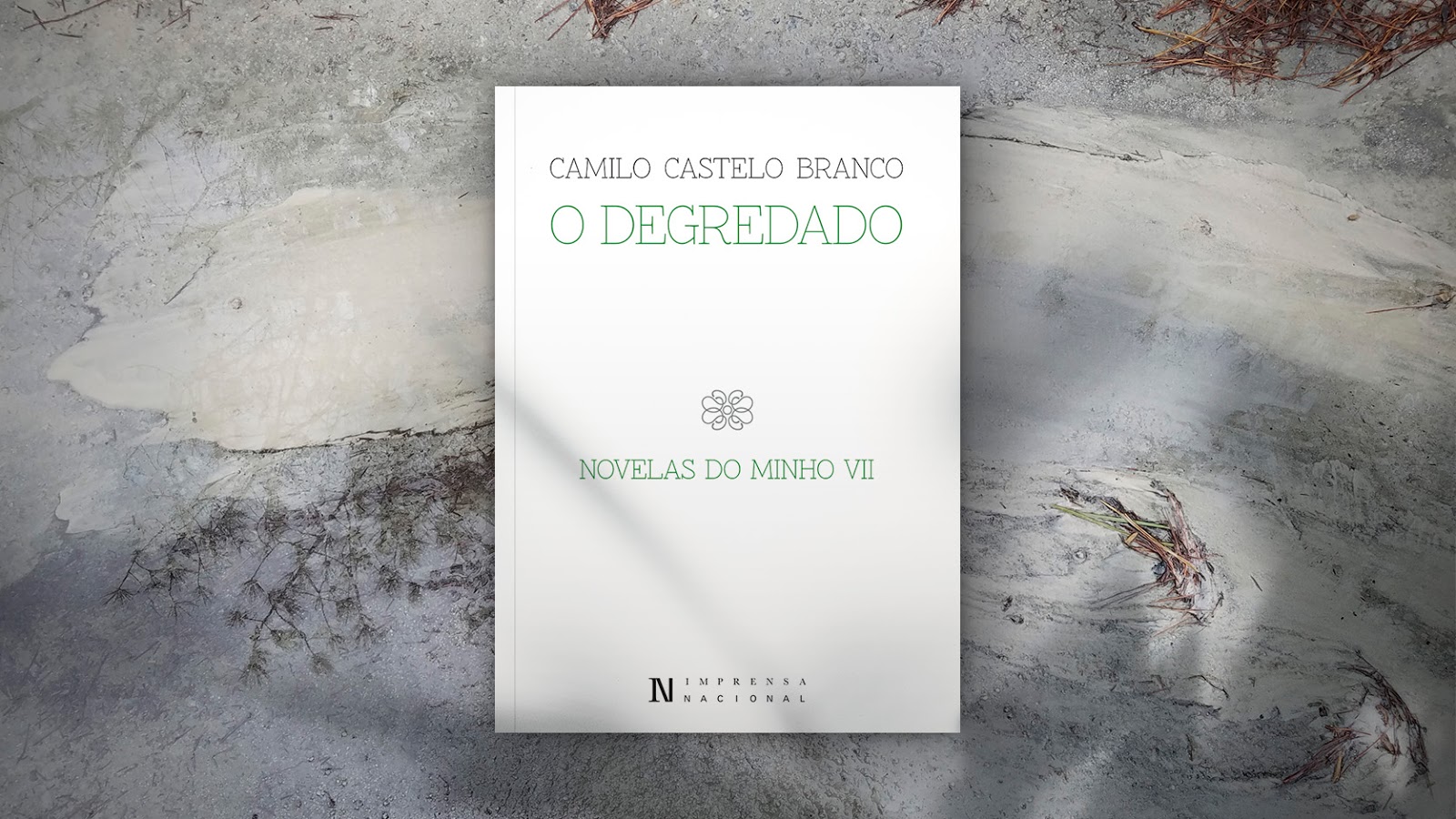Edições Gratuitas | O Degredado | Novelas do Minho VII | Camilo Castelo Branco