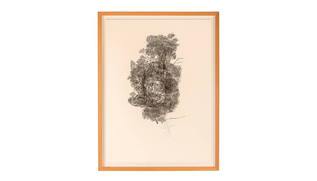 Samuel Rama | Desenhos e plantas #2, 2024